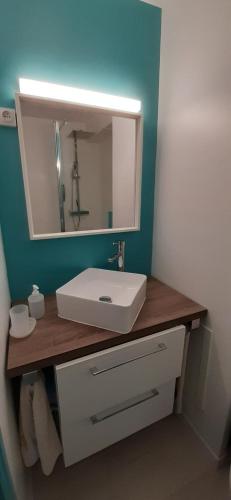 a bathroom with a white sink and a mirror at La Louvatière 28 in Mijoux