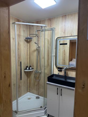 a bathroom with a shower with a sink and a mirror at Пан0рама in Saty