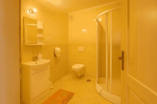 a small bathroom with a toilet and a shower at Domačija Harmonija in Vremski Britof