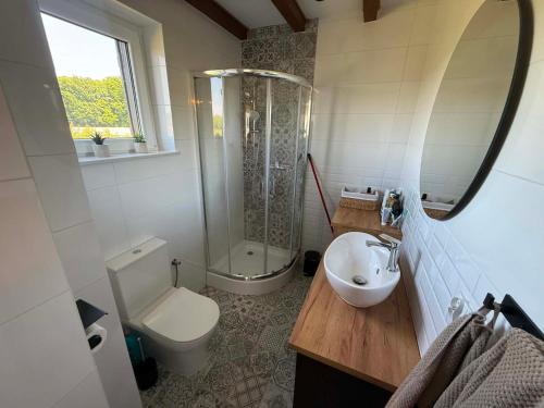 a bathroom with a toilet and a shower and a sink at Leśna przystań in Trupel