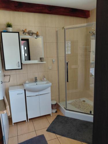 a bathroom with a sink and a shower at Dom nad Stawem - ALEX in Stara Kiszewa