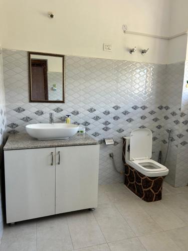 a bathroom with a sink and a toilet at Rongmo villa in Leh