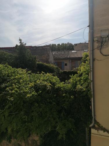 coquette maison avec cour intra muros