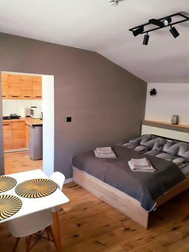 a bedroom with a bed and a ceiling fan at Chatka Czesia in Sosnówka