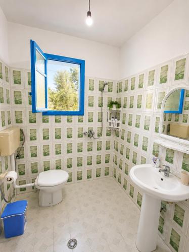 a bathroom with a toilet and a sink and a window at Garden Oasis in Vlore in Vlorë