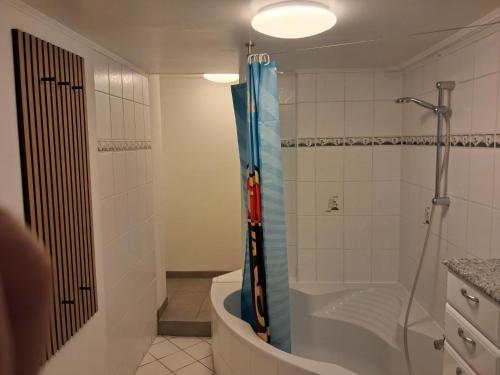 a bathroom with a shower and a tub and a toilet at Gemütliche Monteurunterkunft bei Lübeck in Stockelsdorf