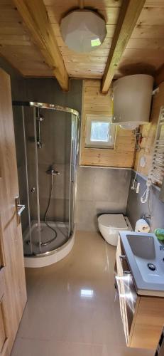 a bathroom with a shower and a toilet and a sink at Chatka Puchatka in Gołubie