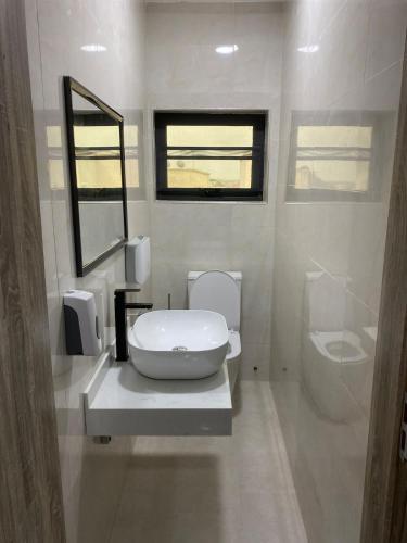 a bathroom with a toilet and a sink and a mirror at The Dunamis in Accra