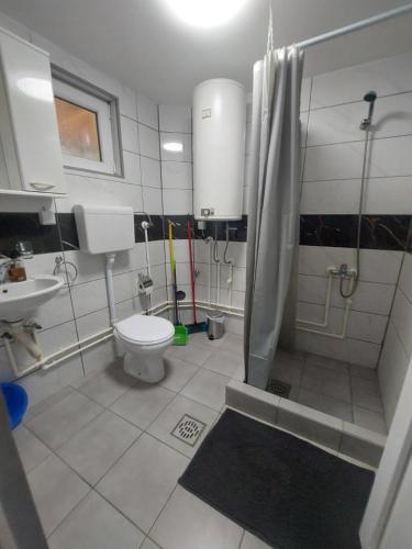 a bathroom with a shower and a toilet and a sink at Apartmani Vlatkovic 1 Zavojsko jezero in Pirot