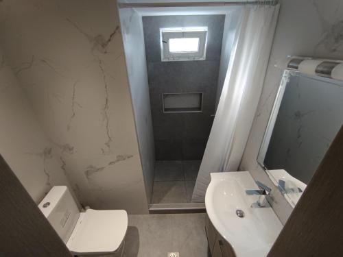 a bathroom with a toilet and a sink and a shower at Villa Archontiko in Mirodháton
