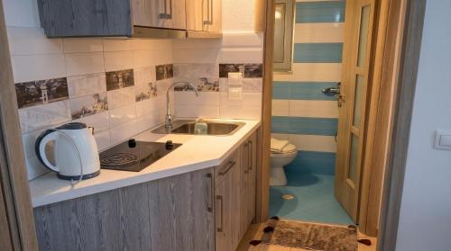 a small kitchen with a sink and a toilet at Blue Sea Apartments in Qeparo