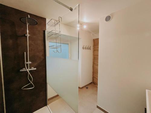 a bathroom with a shower and a glass door at Chez Dubuiss in Houffalize