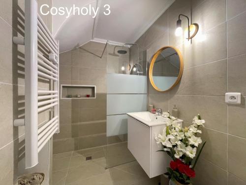 a bathroom with a sink and a mirror at Cosyholy in Vitry-sur-Seine