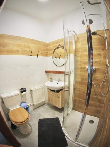a bathroom with a shower and a toilet and a sink at Siedlisko Szwałk in Szwalk