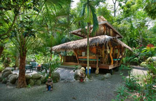 Сад в Congo Bongo EcoVillage Costa Rica