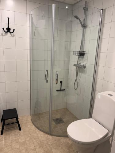 a bathroom with a shower and a toilet at Panorama 3 Kungsberget in Järbo
