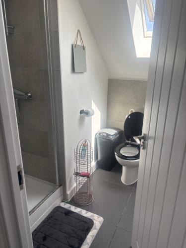 a bathroom with a toilet and a walk in shower at Guest House in Highbridge