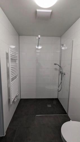 a bathroom with a shower and a toilet at Gauaz Boardinghouse in Maisach