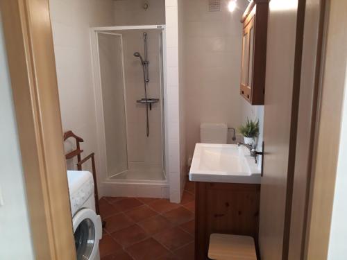 a small bathroom with a sink and a shower at Les Six Vallées in Ramillies