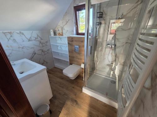 a bathroom with a shower and a toilet and a sink at MB House Sarbinowo in Sarbinowo