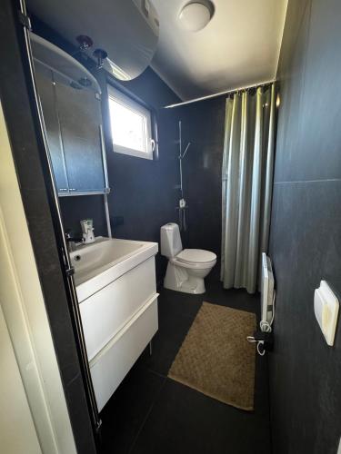a blue bathroom with a toilet and a sink at Hammar Hus in Kristianstad