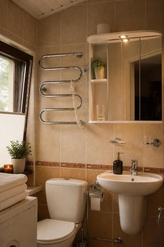 a bathroom with a toilet and a sink at Adomo Rojus in Palanga