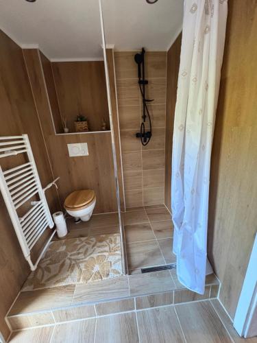 a bathroom with a shower with a toilet and a shower curtain at Apartmán Olive in Terchová