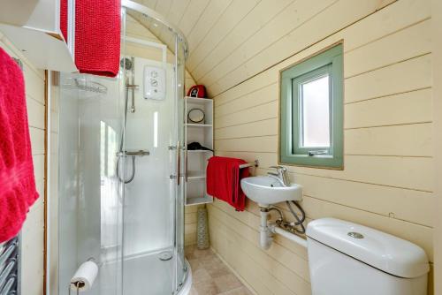 a bathroom with a shower and a toilet and a sink at 1 Bed in Hereford oc-81293 in Aconbury