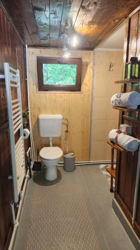 a small bathroom with a toilet and a window at Cabana Pinolera in Boga