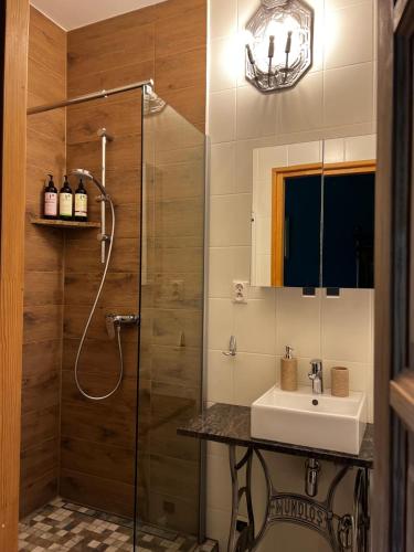a bathroom with a shower and a sink at B&B Stare Łysogórki in Stare Łysogórki