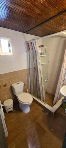a small bathroom with a toilet and a sink at La casa del rio cauche in Almogía