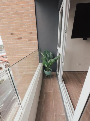 a room with a brick wall and a plant at Marias Apartment Parque Mateo in El Rodeo
