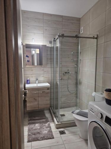 a bathroom with a shower and a sink and a toilet at Flaburiotis House in Dhriopís