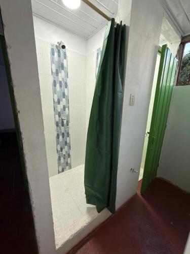 a bathroom with a shower with a green door at El Respiro in Buenavista