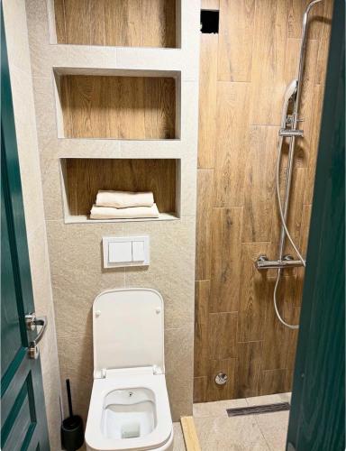 a small bathroom with a toilet and a shower at Skadar Lake Hideaway in Karuč
