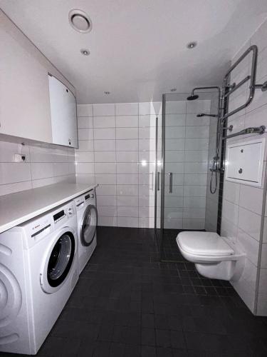 a bathroom with a washing machine and a toilet at Apartment in Höganäs