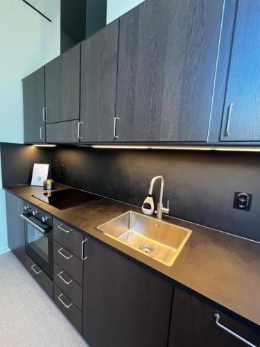 a kitchen with a sink and wooden cabinets at Ludvigsdals Gård in Ystad