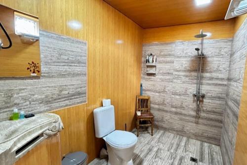 a bathroom with a white toilet and a shower at Tsatʼer Guest House in Tsatʼer