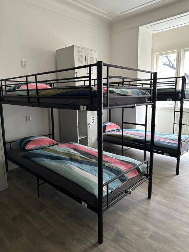 Hostel La Fuente