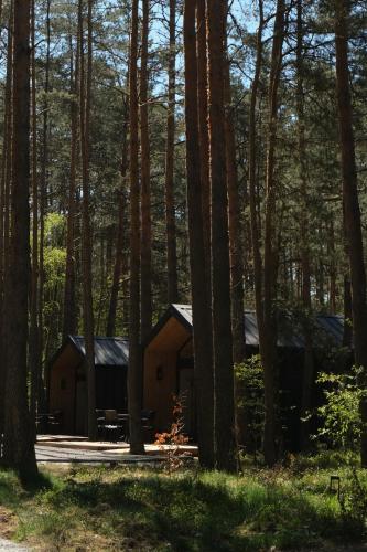 a cabin in the woods with trees at Leśny Chill House in Grodziec
