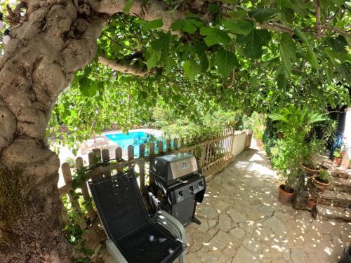 a tv sitting under a tree next to a fence at Molino del Caracol in Benaoján
