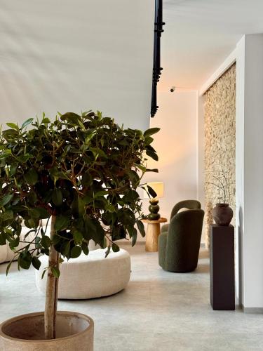 a living room with a potted plant in a room at BOGORIA Apartments in Uniejow