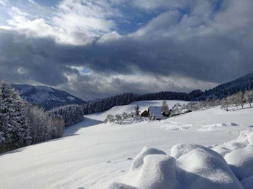 a snow covered hill with a house in the distance at Ferienhof Margarethengut in Unterach am Attersee