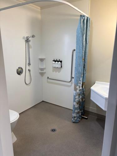 a bathroom with a shower and a toilet at Commodore Court Motel in Blenheim
