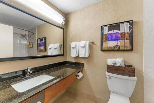 a bathroom with a sink and a toilet and a mirror at Best Western Plus Wooster Hotel & Conference Center in Wooster