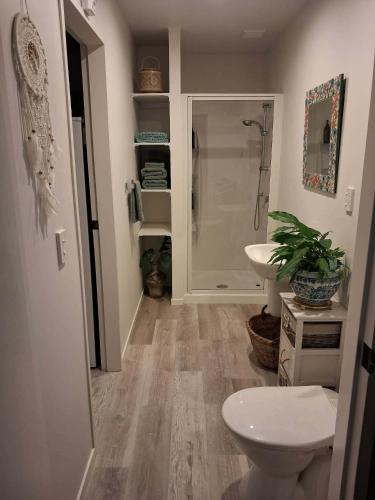 a bathroom with a shower and a toilet and a sink at Private Studio providing a comfortable space in Paraparaumu