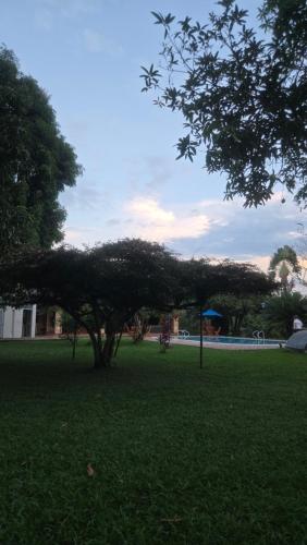 a tree in the middle of a green field at Hotel Boutique Casa Bonanza in Guamal
