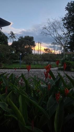a group of flowers in the foreground with the sunset in the background at Hotel Boutique Casa Bonanza in Guamal