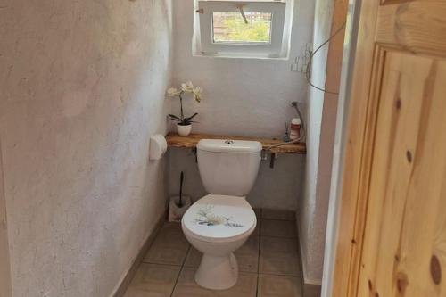 a small bathroom with a toilet and a window at Lakeside holiday villa, private garden in Wierzchowo