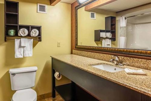 a bathroom with a toilet and a sink and a mirror at Wingate by Wyndham Conway AR in Conway